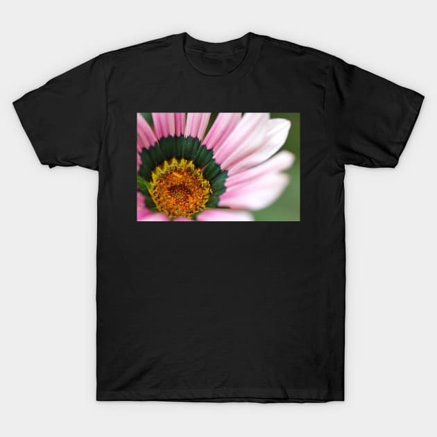 Gazania Heart Macro T-Shirt by gracethescene